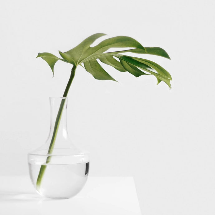 Glass