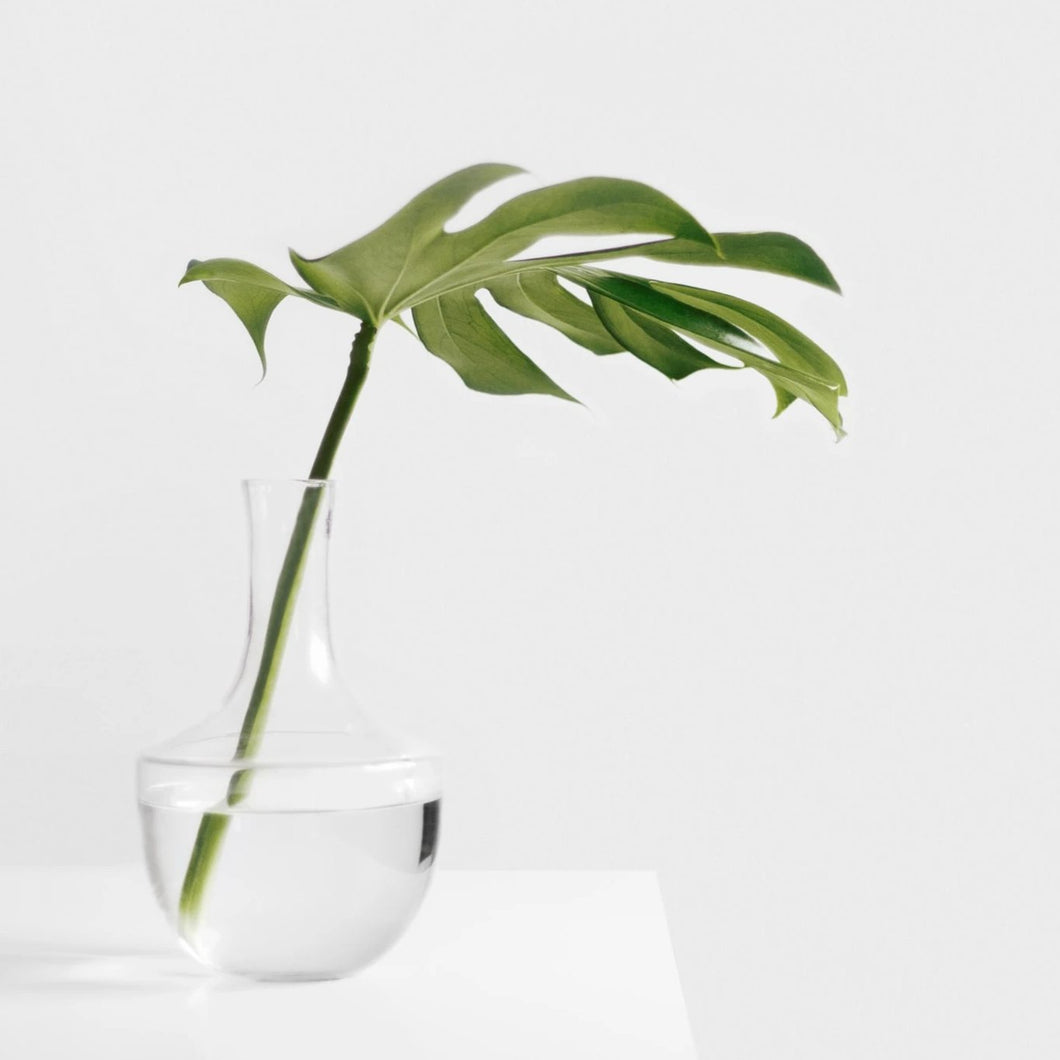 Glass