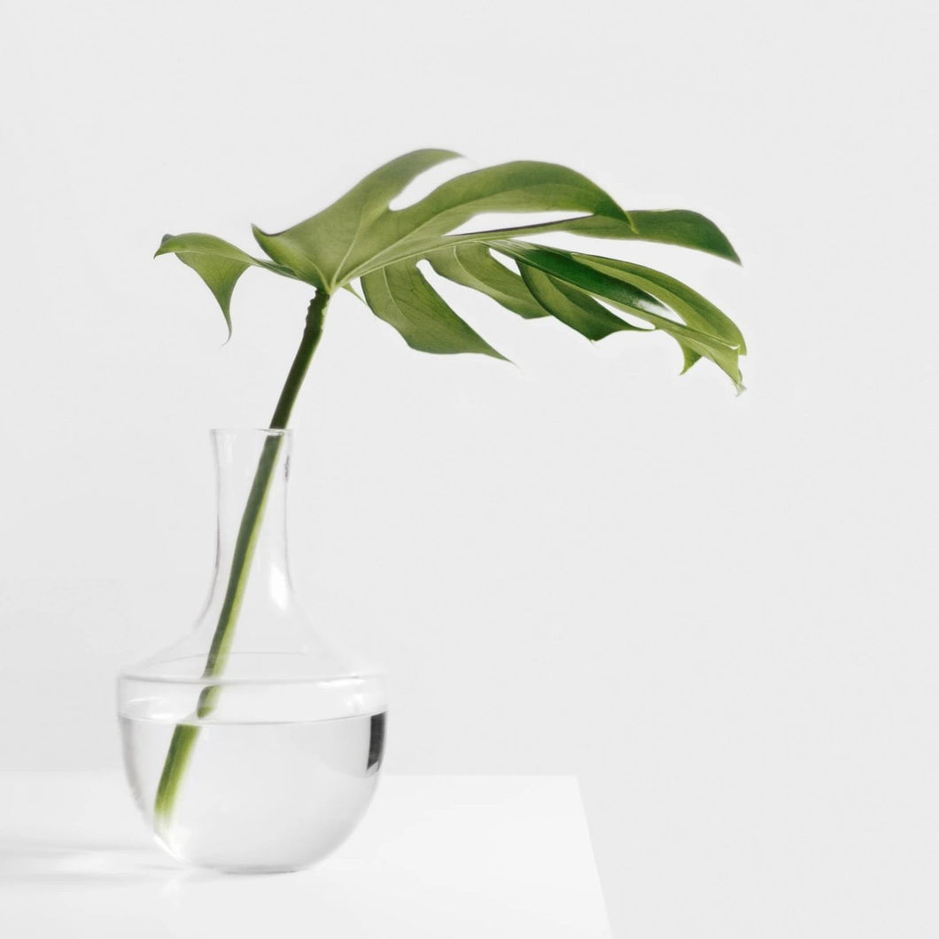 Glass