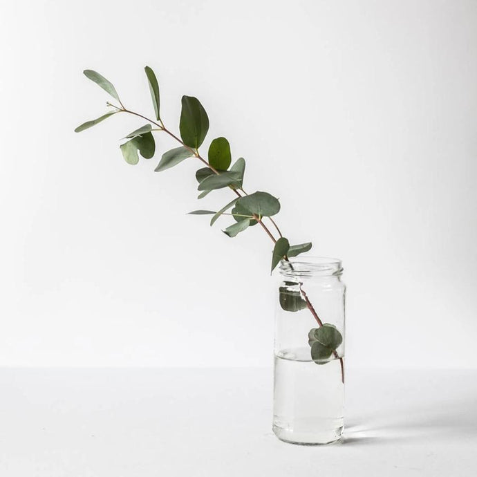 Glass