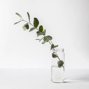 Glass