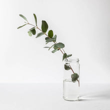 Load image into Gallery viewer, Glass